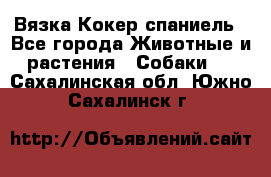 Вязка Кокер спаниель - Все города Животные и растения » Собаки   . Сахалинская обл.,Южно-Сахалинск г.